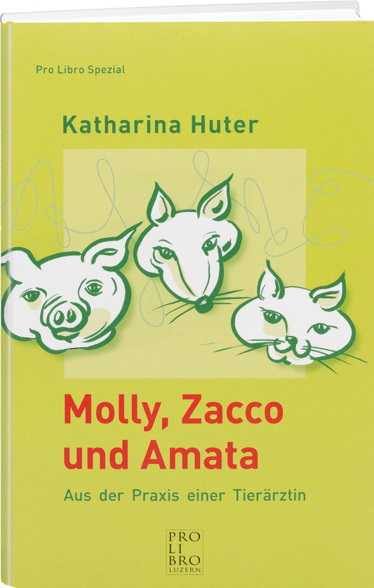Katharina Huter: Molly, Zacco und Amata - prolibro.ch